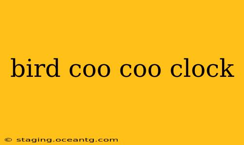 bird coo coo clock