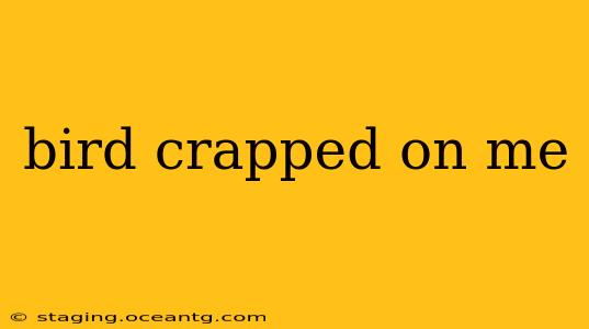 bird crapped on me
