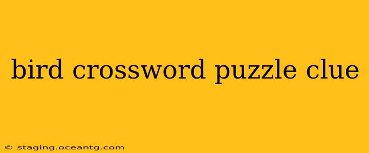 bird crossword puzzle clue