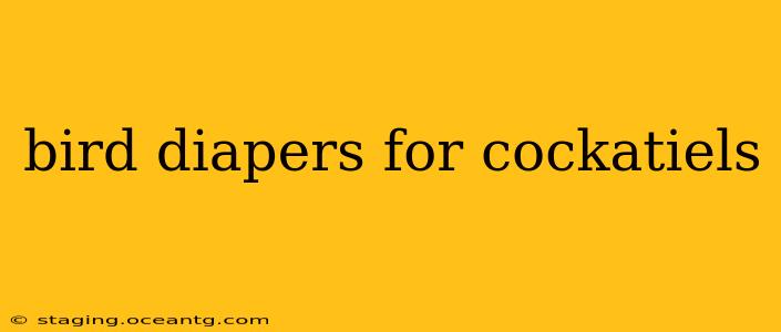 bird diapers for cockatiels