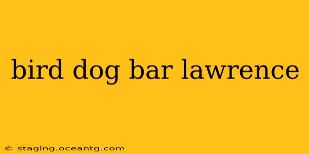 bird dog bar lawrence