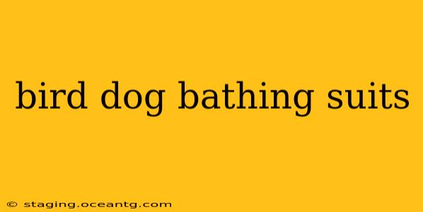 bird dog bathing suits