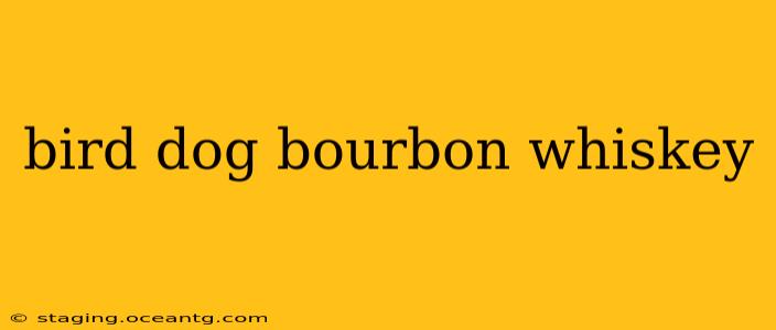 bird dog bourbon whiskey