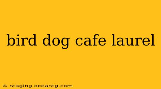 bird dog cafe laurel