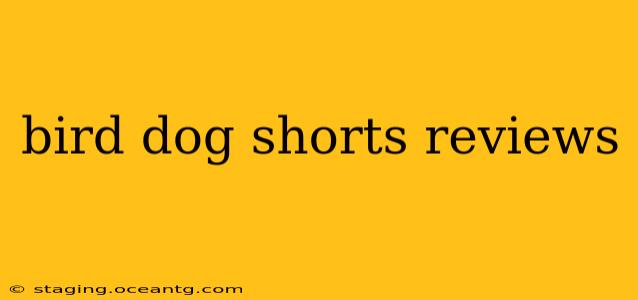 bird dog shorts reviews