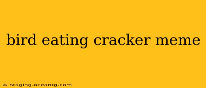 bird eating cracker meme