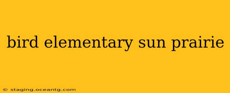 bird elementary sun prairie
