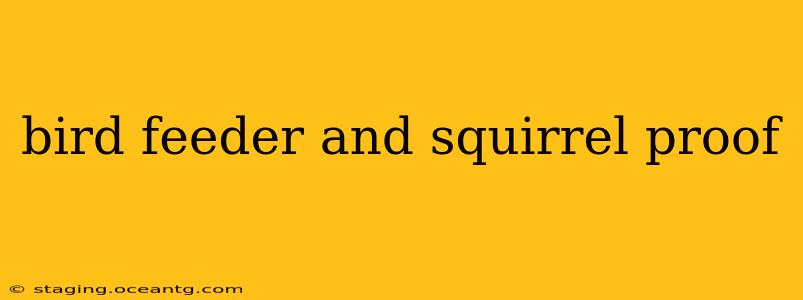 bird feeder and squirrel proof
