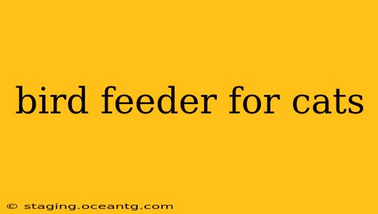 bird feeder for cats