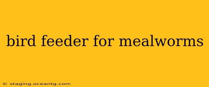 bird feeder for mealworms