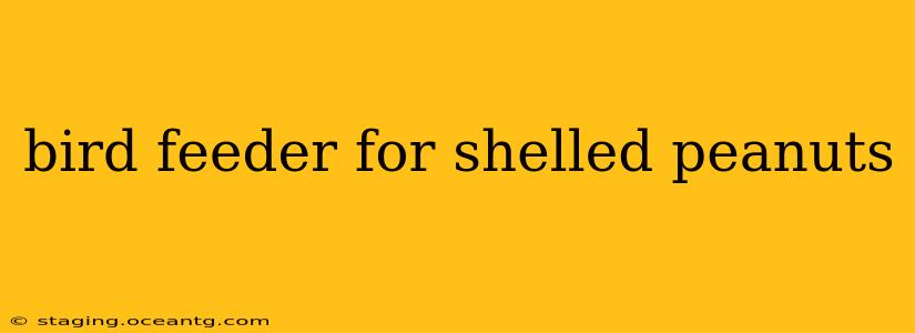 bird feeder for shelled peanuts