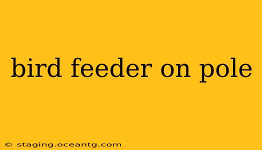 bird feeder on pole