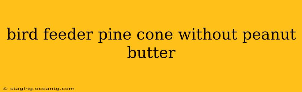 bird feeder pine cone without peanut butter