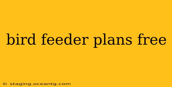 bird feeder plans free