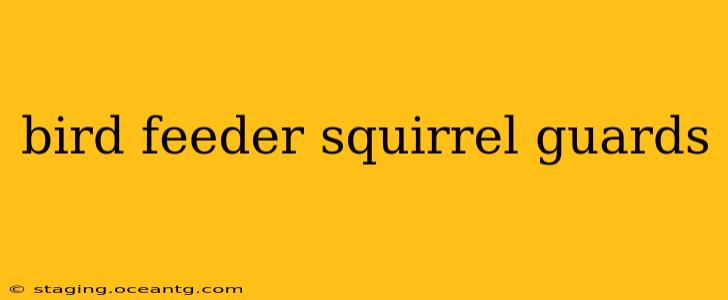 bird feeder squirrel guards