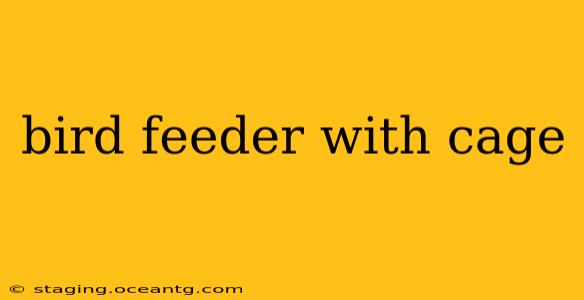 bird feeder with cage