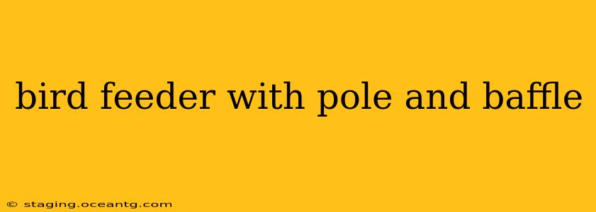 bird feeder with pole and baffle