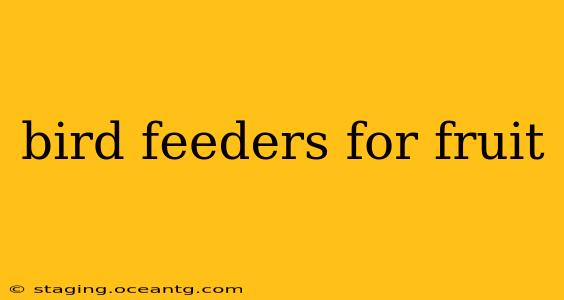 bird feeders for fruit