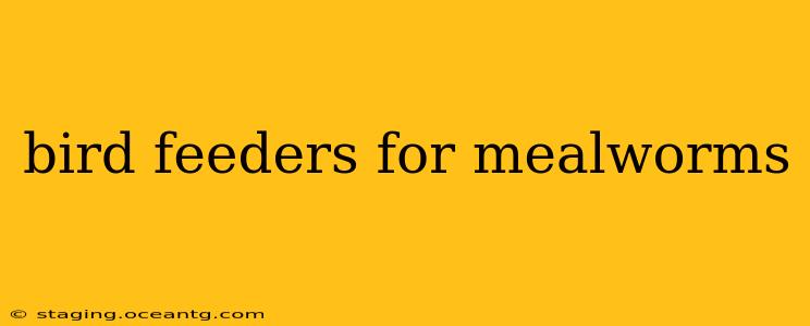 bird feeders for mealworms