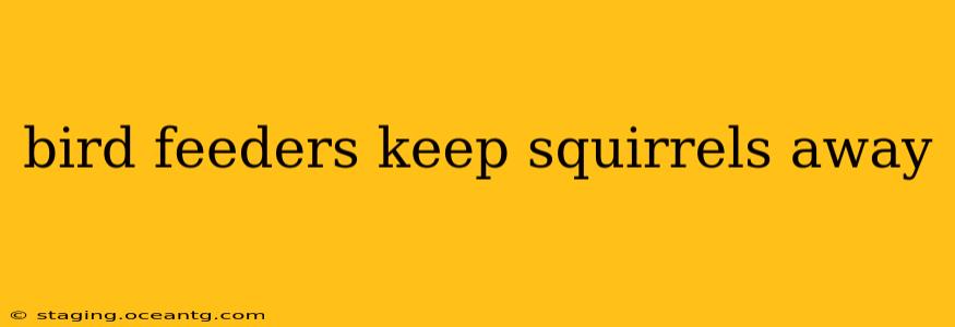 bird feeders keep squirrels away