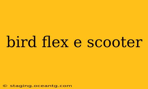 bird flex e scooter