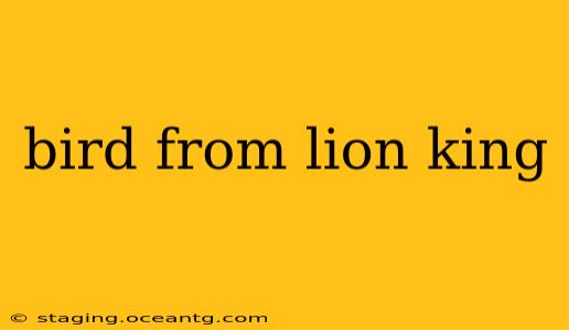 bird from lion king
