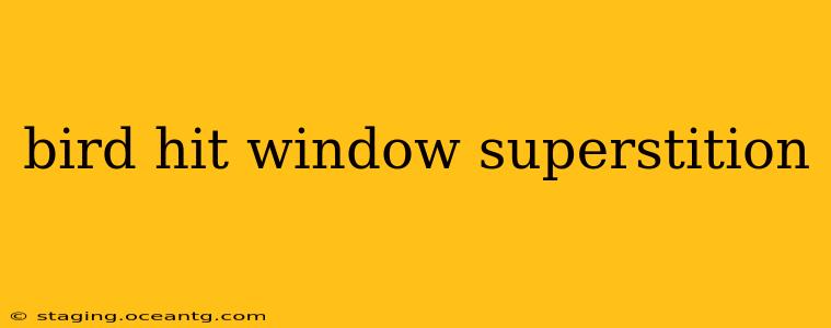 bird hit window superstition