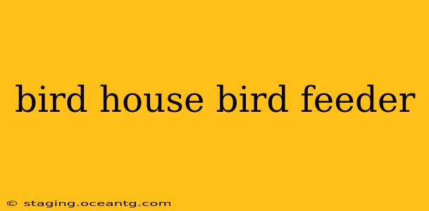 bird house bird feeder