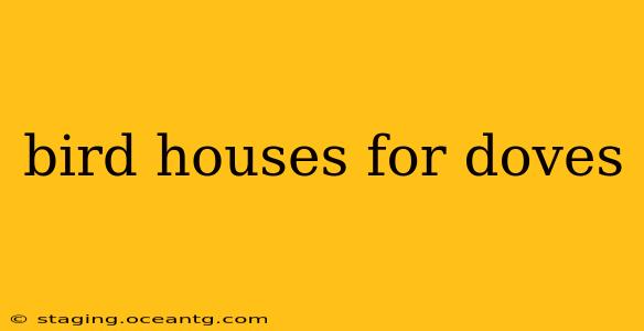 bird houses for doves