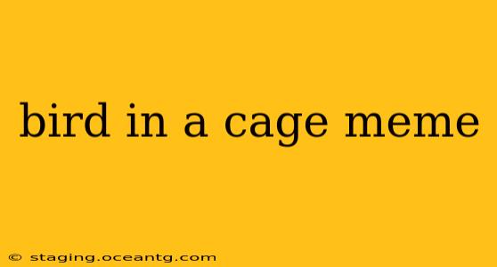 bird in a cage meme