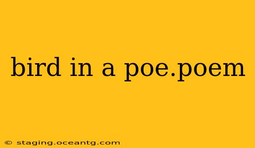 bird in a poe.poem