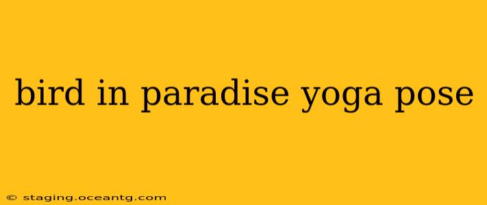 bird in paradise yoga pose