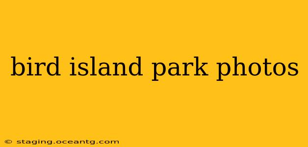 bird island park photos