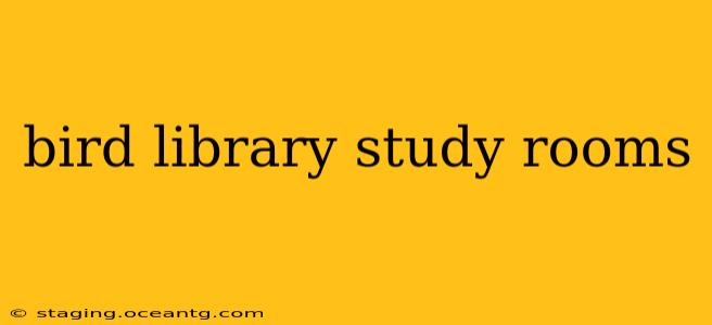 bird library study rooms