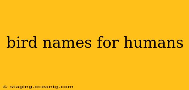 bird names for humans