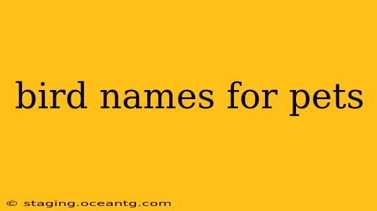 bird names for pets