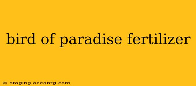 bird of paradise fertilizer