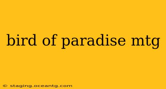 bird of paradise mtg