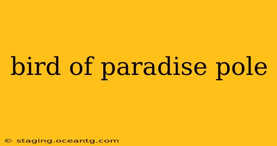 bird of paradise pole