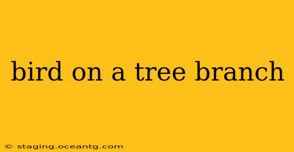 bird on a tree branch