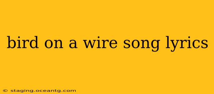 bird on a wire song lyrics