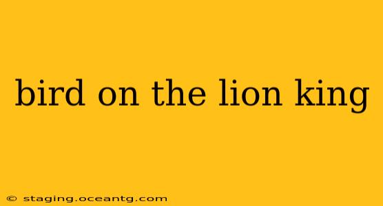 bird on the lion king