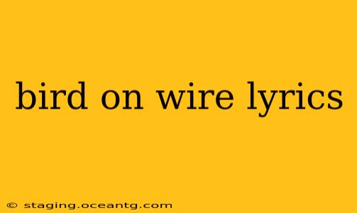 bird on wire lyrics