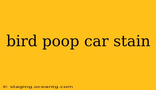 bird poop car stain