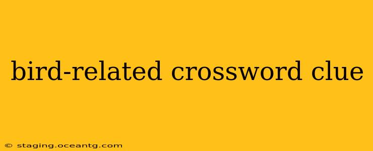 bird-related crossword clue