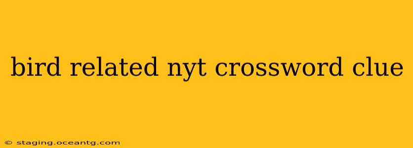 bird related nyt crossword clue
