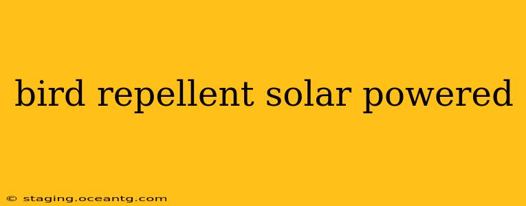 bird repellent solar powered