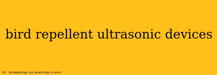 bird repellent ultrasonic devices