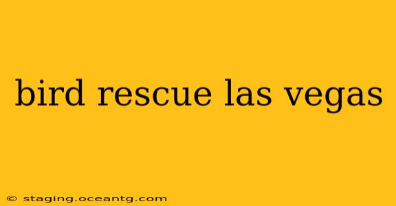 bird rescue las vegas