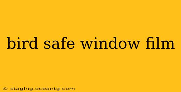 bird safe window film